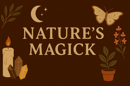 Everyday Herbal Alchemy: Simple Ways to Weave Nature's Magick into Your Wellness Rituals