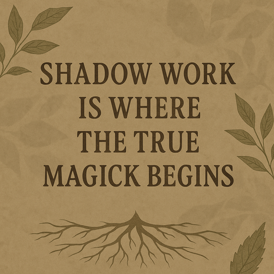 πΏ Spotlight on Mental Health β Week 3 Shadow Work: Reclaiming Yourself After Survival Mode