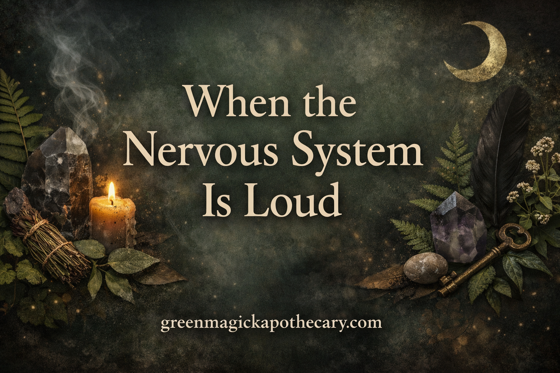 When the Nervous System Is Loud
