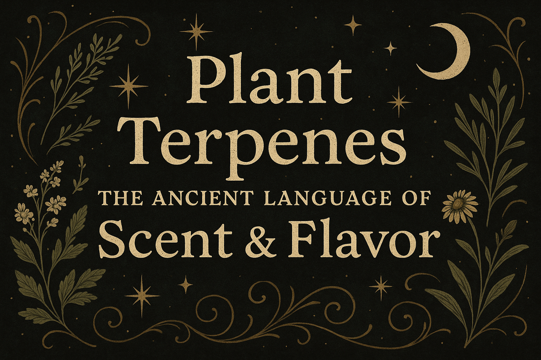 🌿 Plant Terpenes: The Ancient Language of Scent & Flavor