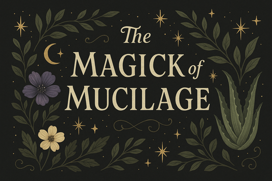 🌿✨ The Magick of Mucilage: The Plant Gel That Loves Your Skin