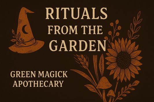 🍂 Autumn Apothecary: Harvest Rituals for the Fall Equinox