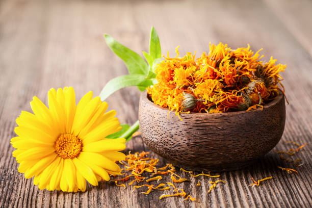 Spotlight Herb: Calendula