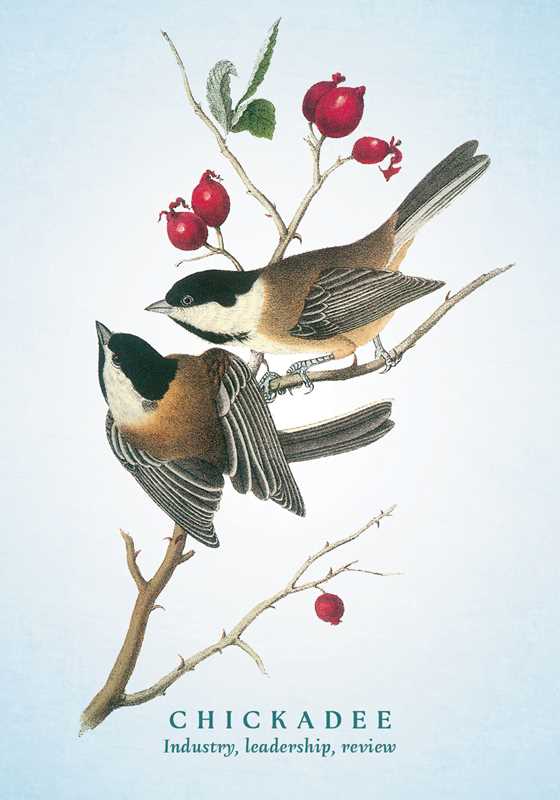Spiritual Meaning of Birds Oracle Deck by Arin Murphy-Hiscock