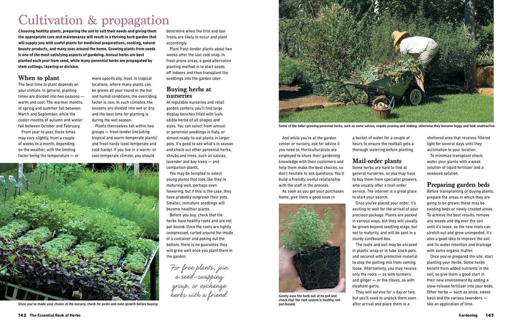 Reader's Digest The Essential Book of Herbs by