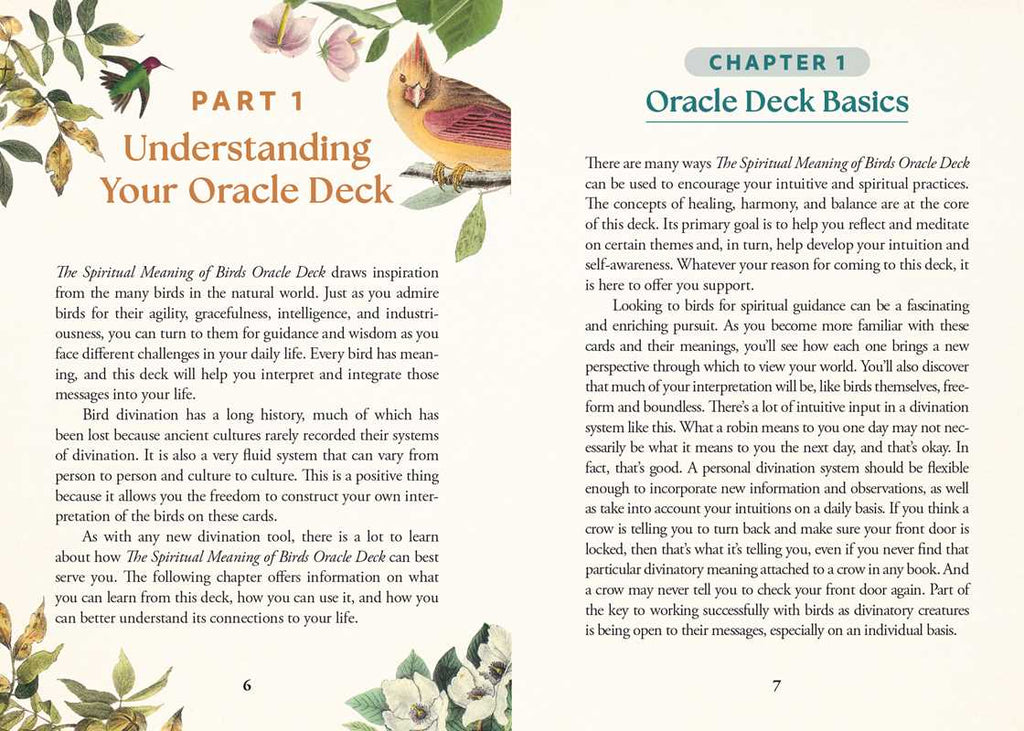 Spiritual Meaning of Birds Oracle Deck by Arin Murphy-Hiscock