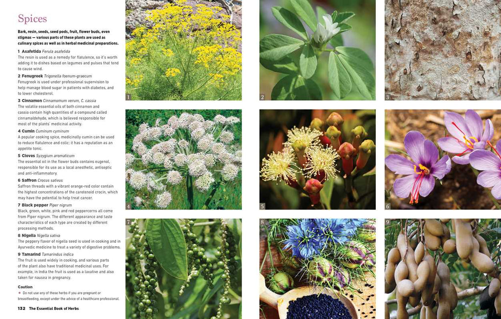 Reader's Digest The Essential Book of Herbs by