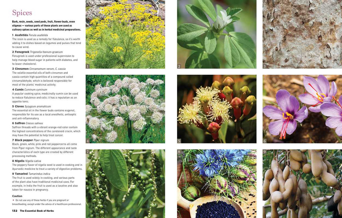 Reader's Digest The Essential Book of Herbs by