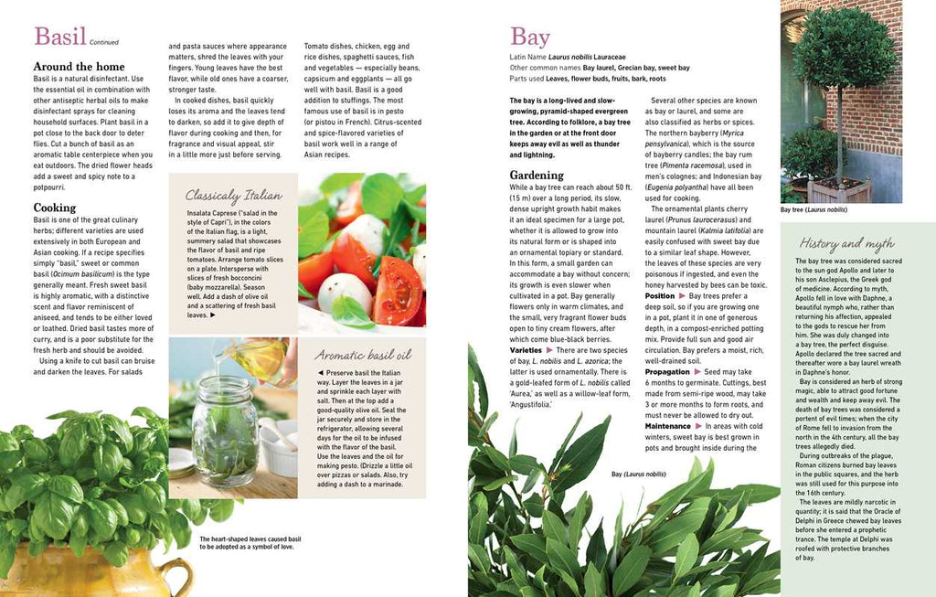 Reader's Digest The Essential Book of Herbs by
