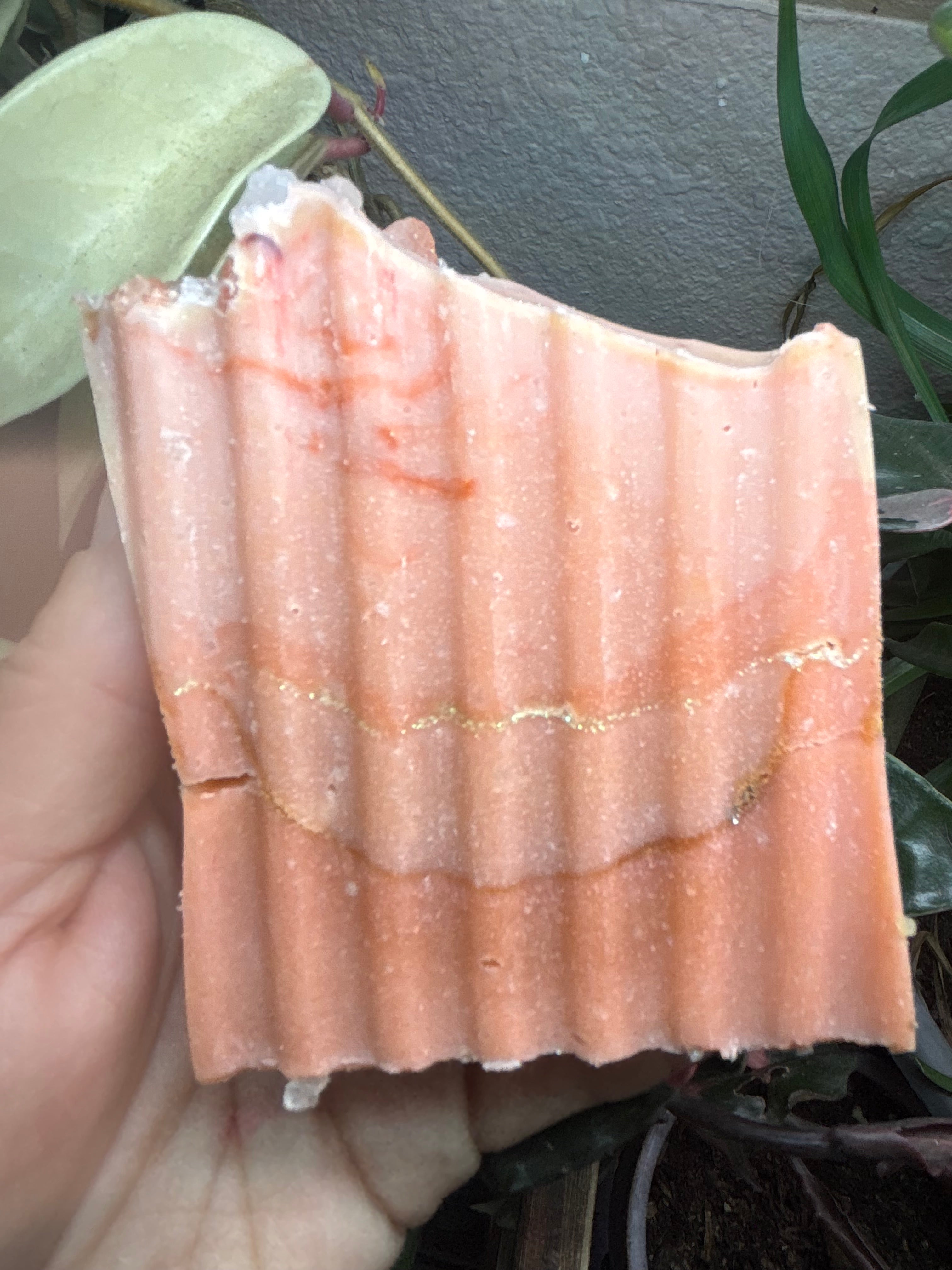 Handcrafted Soap Bars & Pure Beeswax Candles | wildCRAFT Ltd.