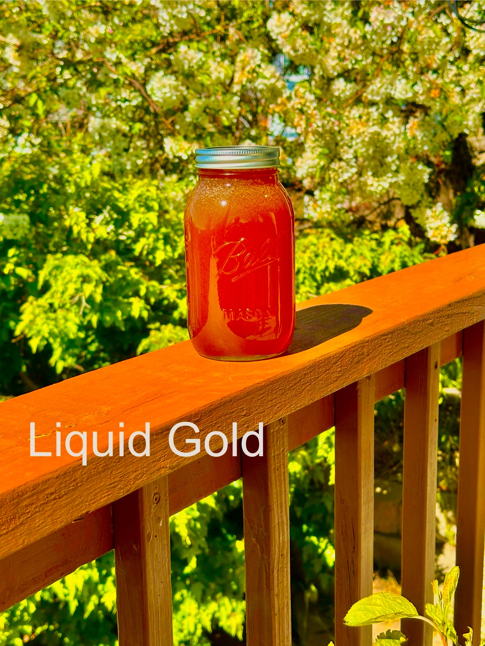 Pure Colorado Honey | Tan Man Honey