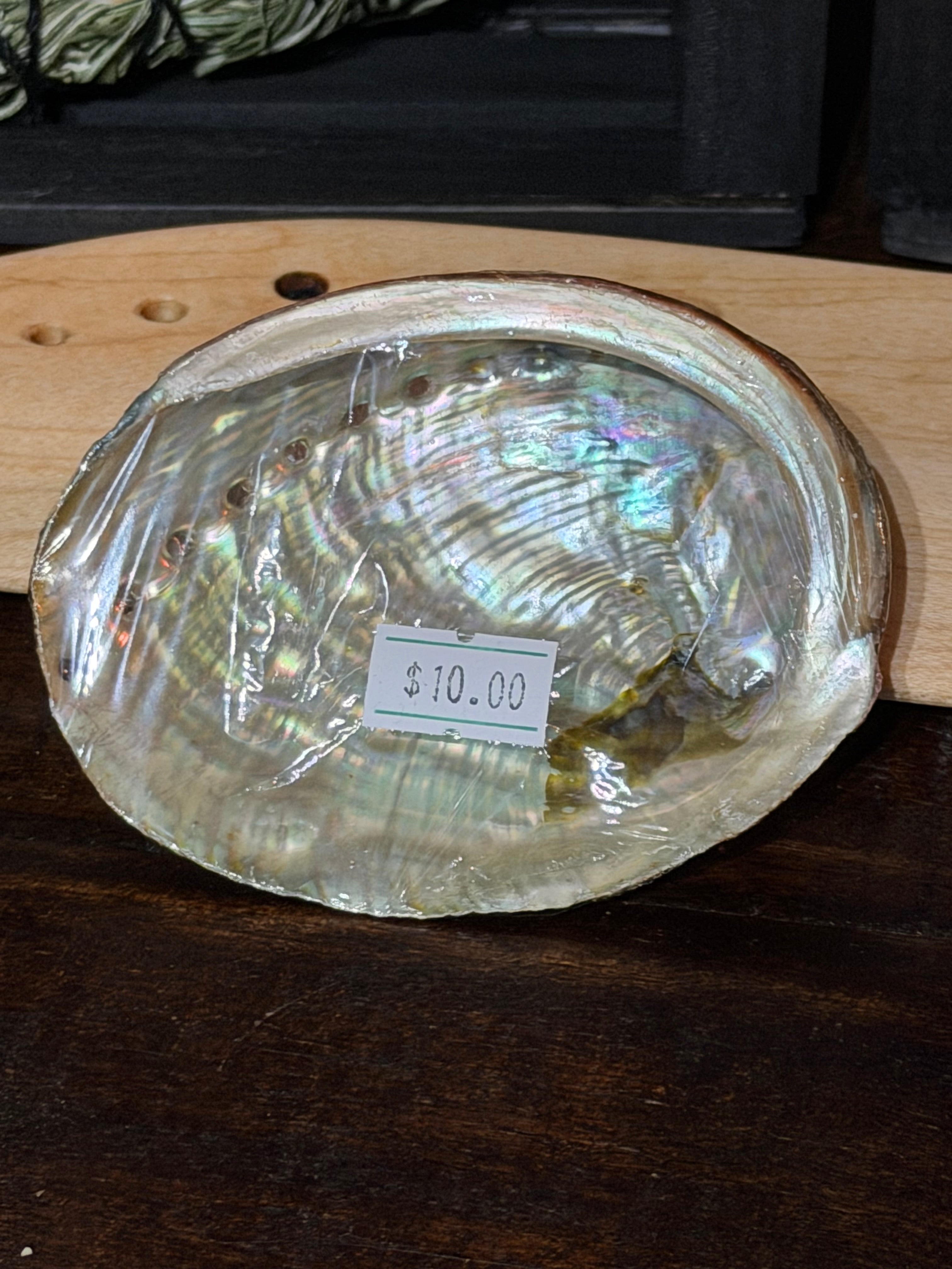 Small Abalone Shells & Display Stands