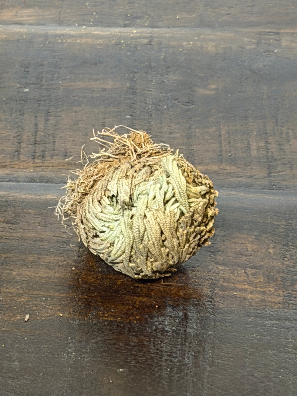 Smoke Cleansing & Ritual Tools | Sage Ranch