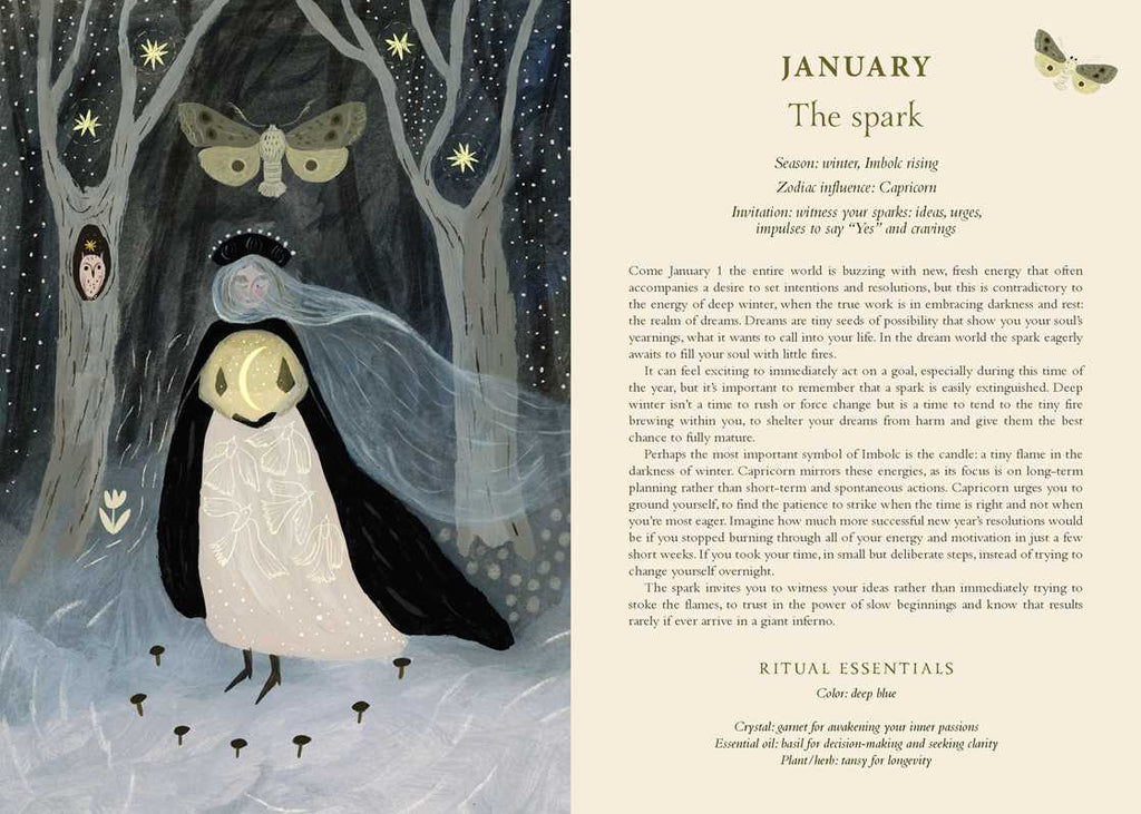 2027 Seasons of the Witch Planner Calendar by Lorriane  Anderson