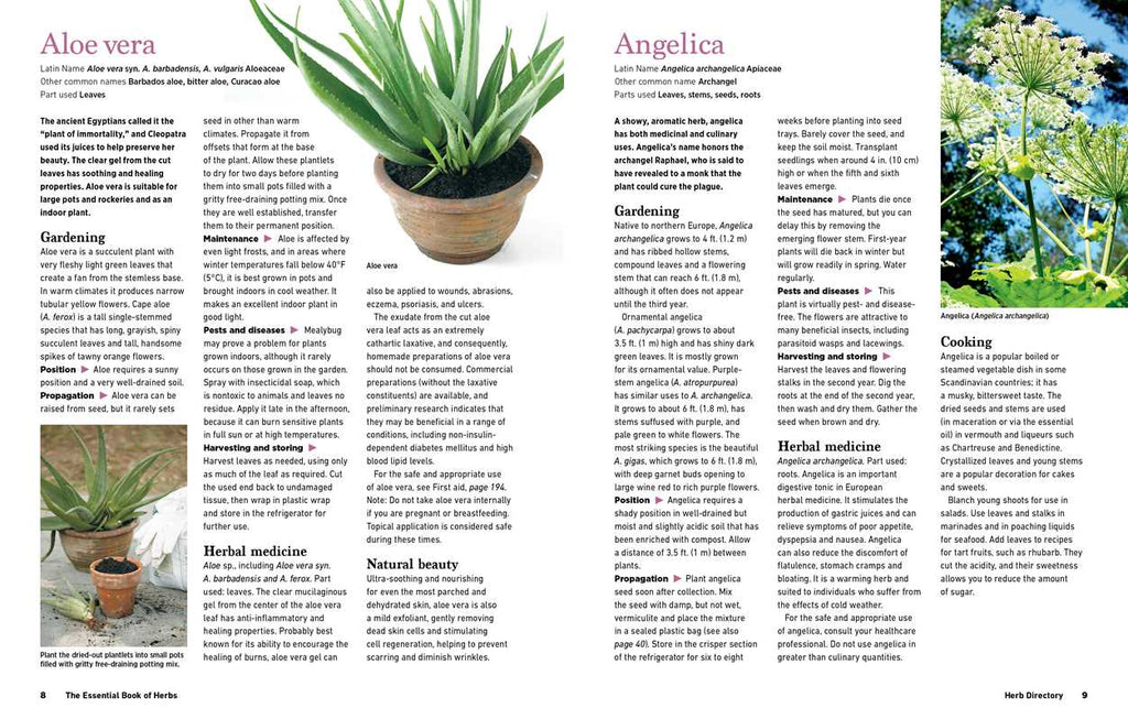 Reader's Digest The Essential Book of Herbs by