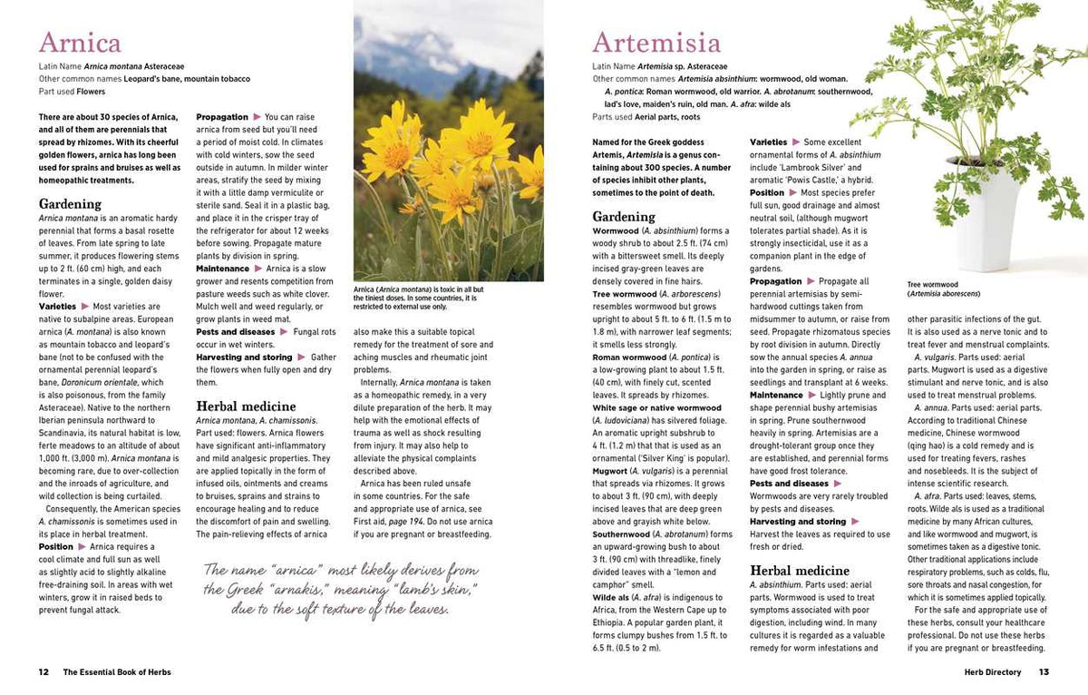 Reader's Digest The Essential Book of Herbs by