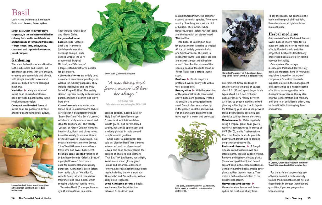 Reader's Digest The Essential Book of Herbs by