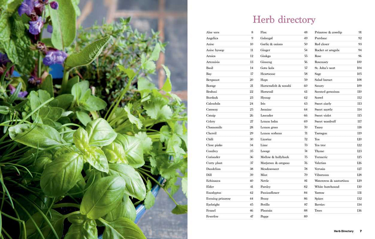 Reader's Digest The Essential Book of Herbs by
